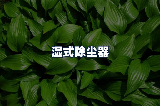 湿式除尘器